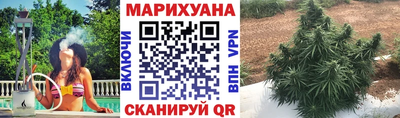 Виды наркоты Нефтеюганск Экстази  ГАШИШ  Конопля  A-PVP 