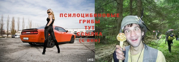 бутират Осташков