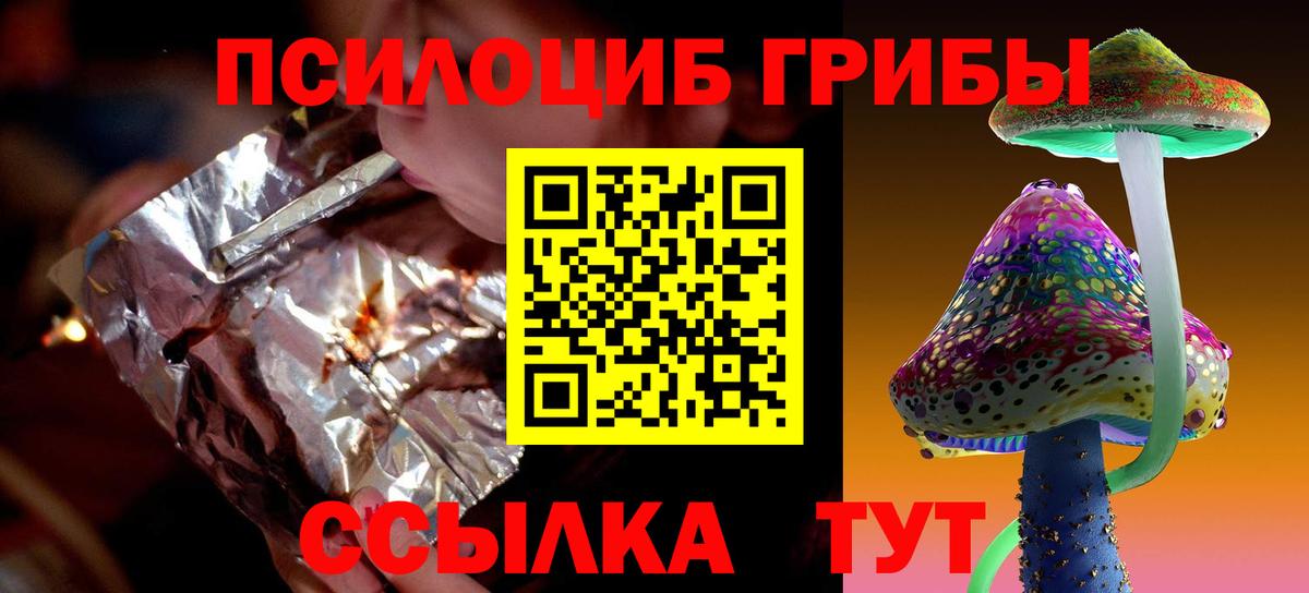 Галлюциногенные грибы Psilocybine cubensis Нефтеюганск